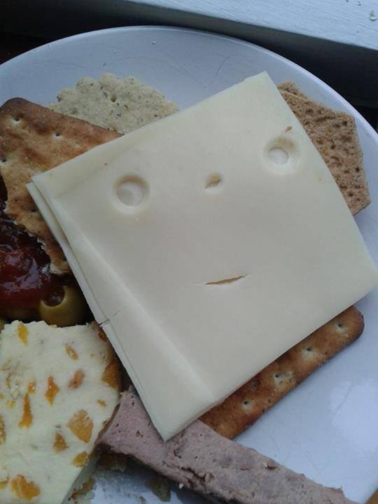 Say cheese. [image from Things with Faces Facebook page]